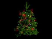 Новогодняя ёлка